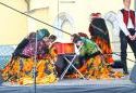 tn_14236_fasiangy_235.jpg