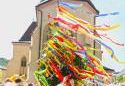tn_15646_stavame_mi_maje_046.jpg