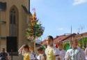 tn_15711_stavame_mi_maje_111.jpg