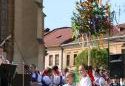 tn_15825_stavame_mi_maje_225.jpg
