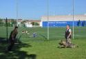 tn_16390_mila_pre_mamu_037.jpg