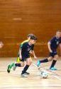 tn_19382_51847172_996989150500762_2772785806320861184_o.jpg