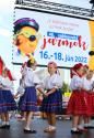 tn_22696_folklorny_festival_dfs_sabinik.15.jpg